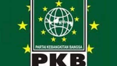 Logo PKB Now