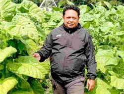 APTI Sumedang Nilai DBHCHT Perkuat Daya Saing Petani Tembakau