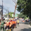 Pohon Rawan Tumbang di Jalur Nasional Jatinangor-Tanjungsari Ditebang, Keselamatan Pengguna Jalan Jadi Prioritas