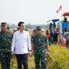 Panen Raya Bersama TNI di Sumedang, Wabup Fajar Tegaskan Komitmen Program 4A untuk Ketahanan Pangan