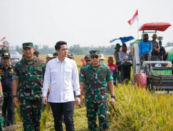 Panen Raya Bersama TNI di Sumedang, Wabup Fajar Tegaskan Komitmen Program 4A untuk Ketahanan Pangan