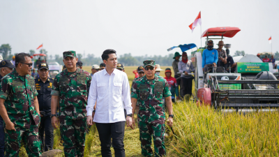 Panen Raya Bersama TNI di Sumedang, Wabup Fajar Tegaskan Komitmen Program 4A untuk Ketahanan Pangan