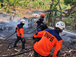 Karhutla Sumedang Naik Hampir 99 Persen, Pemkab Perkuat Patroli hingga Tingkat Desa
